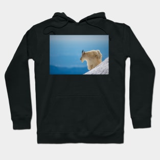 Contemplation Hoodie